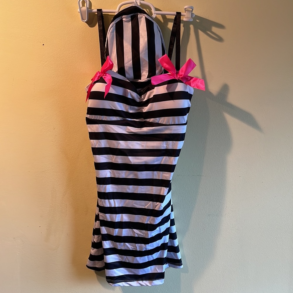 Dreamgirl “Anita Alibi” Costume - Picture 2 of 4